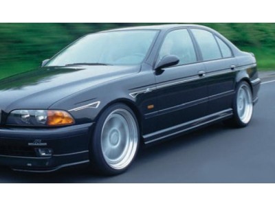 Пороги BMW E39 Шницер