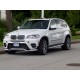 Накладки на пороги BMW X5 E70 LCI Aero