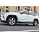 Хромированные молдинги на двери Toyota RAV 4 (2019-...)