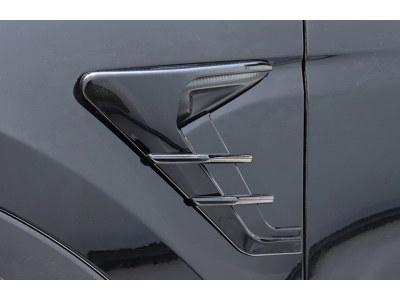 Накладки на крылья, жабры для Tesla Model 3 (2021-...)